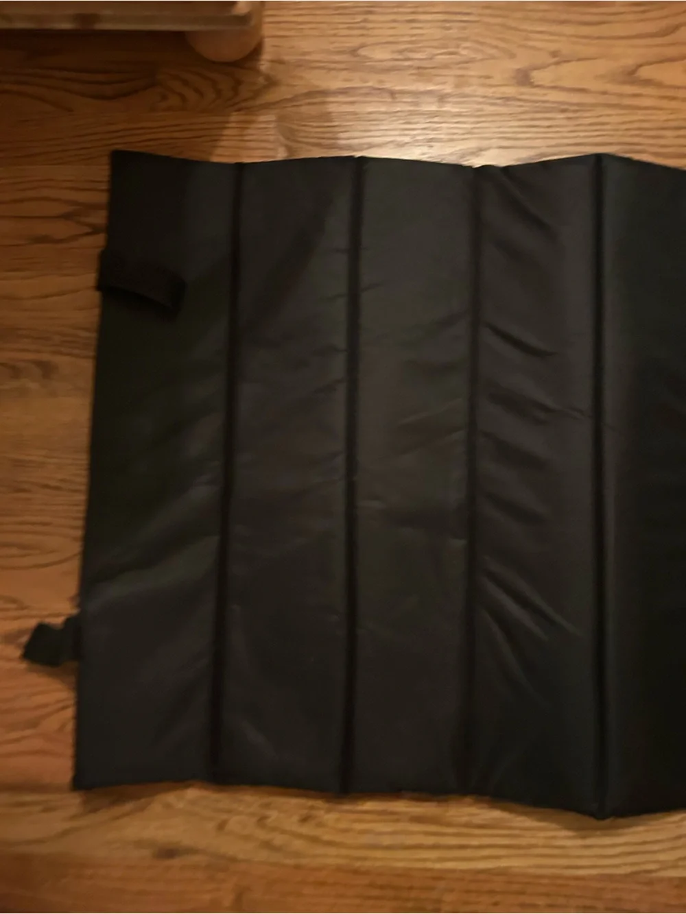 Eddie Bauer Roll Up Packable Foldable Black & Maroon Dog Bed Great for Traveling